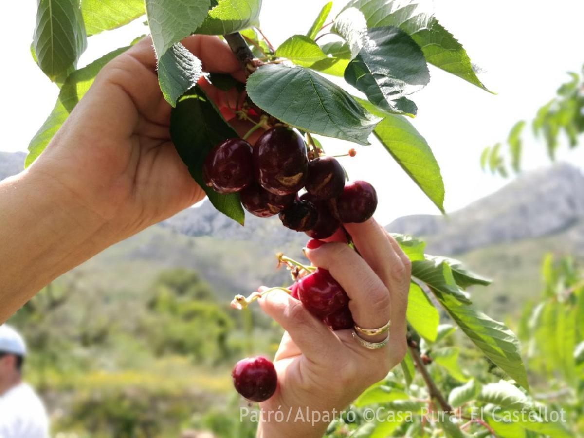 Buhardilla Rustica En La Vall De Gallinera Aparthotel Patró Exteriör bild